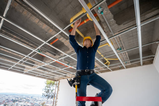 Best Leak Detection Services  in Dundas, MN