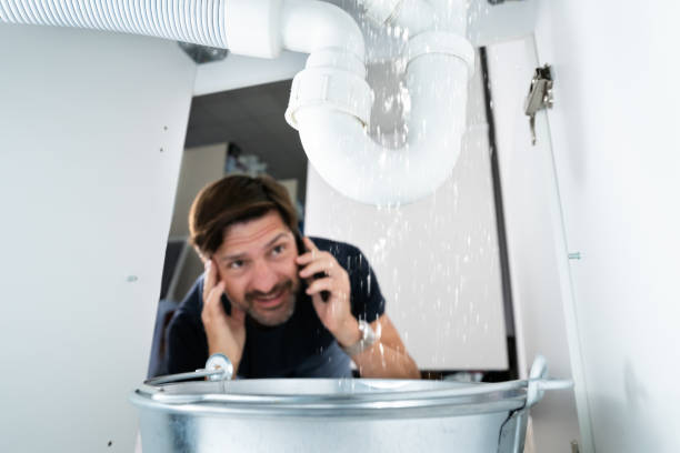 Best Drain Cleaning Services  in Dundas, MN