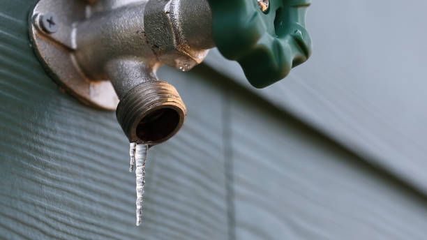 Best Sewer Line Repair  in Dundas, MN