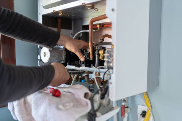 Best Local Plumber Services  in Dundas, MN