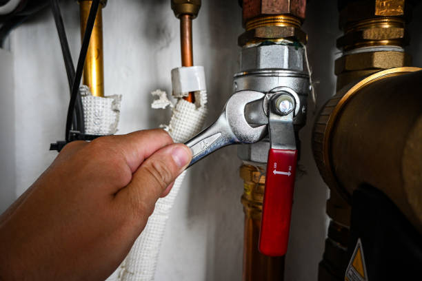 Best Emergency Plumber  in Dundas, MN